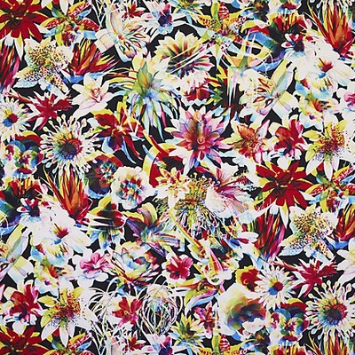Scalamandre Hawai Multico POP ROCK H0 00013496 Multi Multipurpose COTTON COTTON Large Print Floral  Modern Floral Abstract Floral  Fabric