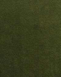 Nabab M1 Khaki by  Scalamandre 