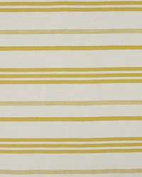 Marina Stripe Pastis by  Scalamandre 