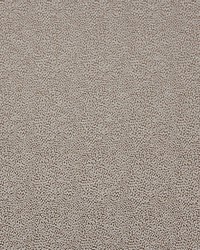 Garrigue Texture Fumee by  Scalamandre 