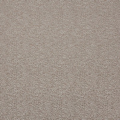 Scalamandre Garrigue Texture Fumee RIVIERA H0 00020574 Grey Upholstery METALLISED  Blend
