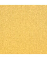 Emotion Or by  Duralee 