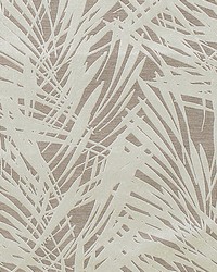 Cuba M1 Brume by  Scalamandre 