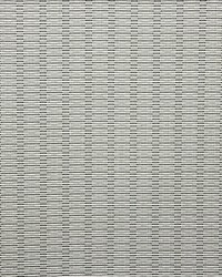 Frequence M1 Poivre by  Scalamandre 