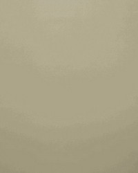 Crepuscule M1 Sable by  Scalamandre 