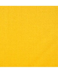 Emotion Jaune by  Duralee 