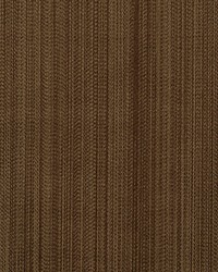 Vertige Bois by  Duralee 