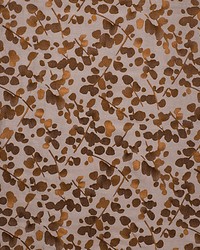 Shiso Gramine by  Scalamandre 