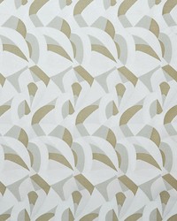 Tchin M1 Palais by  Scalamandre 