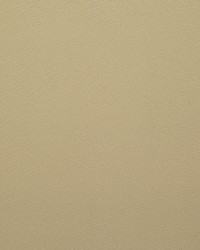 Crepuscule M1 Camel by  Scalamandre 