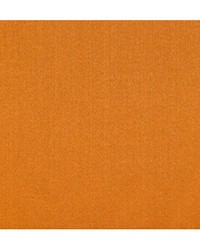 Emotion Ambre by  Duralee 