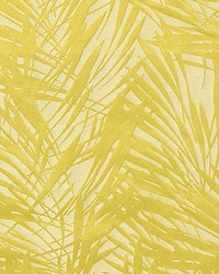 Cuba M1 Soleil by  Scalamandre 