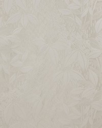 Vetiver M1 Jasmin by  Scalamandre 