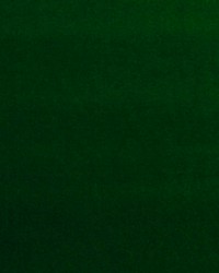 Nabab M1 Myrte by  Scalamandre 