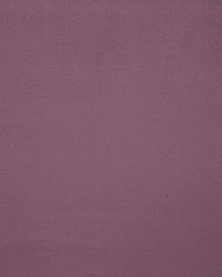 Pigment Lilas by   