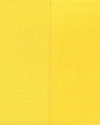 Fontenay Bouton Dor by  Duralee 