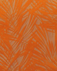 Cuba M1 Cuivre by  Scalamandre 