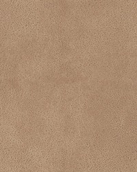 Western Taupe by  Scalamandre 