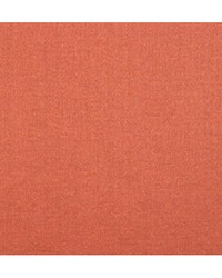 Emotion Cuivre by  Duralee 