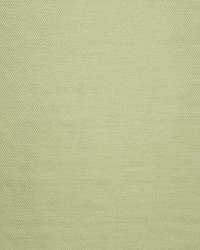 Natto M1 Amande by  Scalamandre 