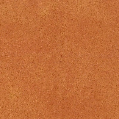 Scalamandre Western Cognac ESSENTIEL H0 00120533 Upholstery POLYESTER POLYESTER