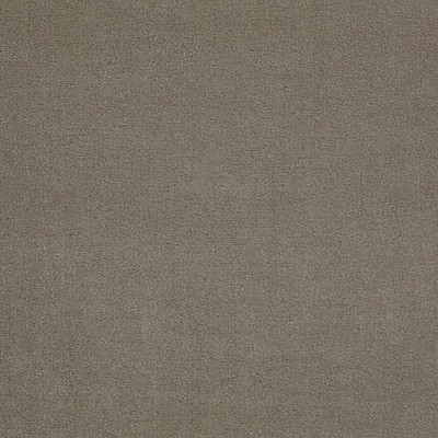 Scalamandre Fuji Velour Tourterelle LART ET LA MATIERE H0 00120552 Upholstery NYLON|55%  Blend