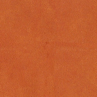 Scalamandre Western Fauve ESSENTIEL H0 00130533 Upholstery POLYESTER POLYESTER