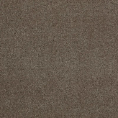 Scalamandre Fuji Velour Mastic LART ET LA MATIERE H0 00130552 Upholstery NYLON|55%  Blend