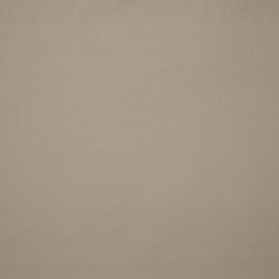 Scalamandre Pigment Nacre ESSENTIEL H0 00130559 Grey Upholstery VISCOSE  Blend