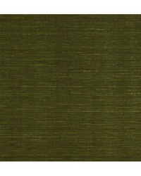 Velours Uni Vert Doux by   