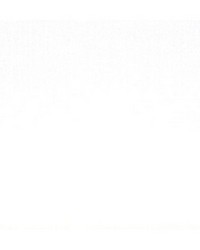 Emotion Blanc by  Duralee 