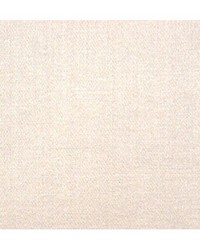 Emotion Argent by  Duralee 