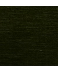 Velours Uni Emeraude by   