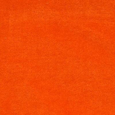 Scalamandre Cosmos Abricot ESSENTIEL H0 00180383 Orange Upholstery COTTON  Blend