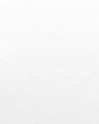 Nabab M1 Neige by  Scalamandre 