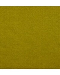 Emotion Bronze by  Duralee 