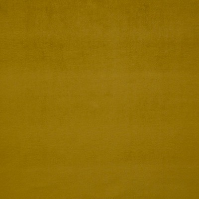 Scalamandre Pigment Mordore ESSENTIEL H0 00200559 Yellow Upholstery VISCOSE  Blend