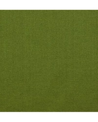 Emotion Myrte by  Duralee 