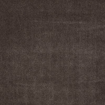 Scalamandre Fuji Velour Fumee LART ET LA MATIERE H0 00210552 Grey Upholstery NYLON|55%  Blend