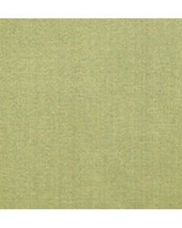 Emotion Roseau by  Duralee 