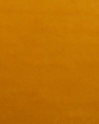 Nabab M1 Ecaille by  Scalamandre 