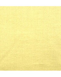 Emotion Tilleul by  Duralee 