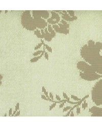 Alicante Damask Light Green by   