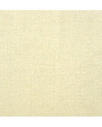 Emotion Nil by  Duralee 