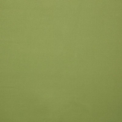 Scalamandre Toucan Lime ESSENTIEL H0 00270558 Green Upholstery COTTON COTTON