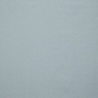 Scalamandre Toucan Ciel ESSENTIEL H0 00280558 Grey Upholstery COTTON COTTON