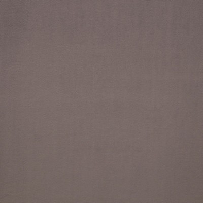 Scalamandre Pigment Cendre ESSENTIEL H0 00300559 Grey Upholstery VISCOSE  Blend
