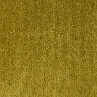Scalamandre Cosmos Mousse ESSENTIEL H0 00330383 Green Upholstery COTTON  Blend