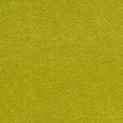 Scalamandre Cosmos Anis ESSENTIEL H0 00340383 Green Upholstery COTTON  Blend