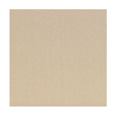 Scalamandre Silk Virtuose Mastic SIGNATURE H0 00434165 White Multipurpose SILK SILK Solid Silk  Fabric